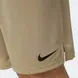 Чоловічі шорти Nike M NK DF KNIT SHORT 6.0 | DD1887-247 фото 6