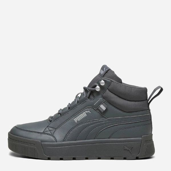 Кросівки Puma Tarrenz Sb Iii | 39262803 39262803 фото