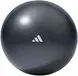 Футбольний м'яч adidas Gymball | ADBL-11247BK-NL фото 2