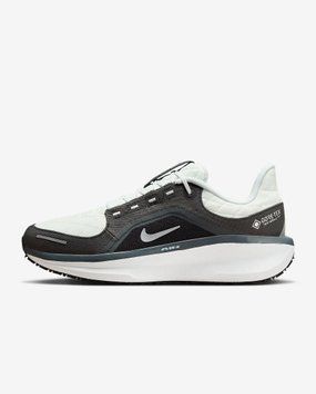 Кросівки Nike Air Winflo 11 GORE-TEX 'Anthracite'| FQ1358-004 FQ1358-004 фото