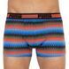 Чоловічі труси Puma Worldhood Stripe Trunk 2P | 501004001-030 501004001-030 фото 2