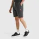 Чоловічі шорти Ellesse Noli Fleece | SHS01894-106 фото 3