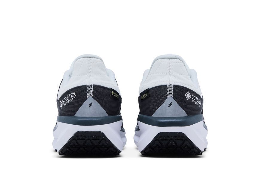 Кросівки Nike Air Winflo 11 GORE-TEX 'Anthracite'| FQ1358-004 FQ1358-004 фото