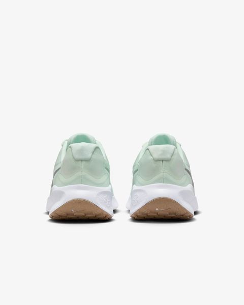 Жіночі кросівки Nike Revolution 7 'Barely Green Metallic Silver'| FB2208-303 FB2208-303 фото