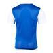 Підліткова футболка Nike Y NK DF TIEMPO PREM II JSY SS | DH8389-463 DH8389-463 фото 2