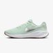 Жіночі кросівки Nike Revolution 7 'Barely Green Metallic Silver'| FB2208-303 FB2208-303 фото 1