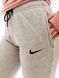 Жіночі штани Nike Park 20 Fleece | CW6961-063 фото 1