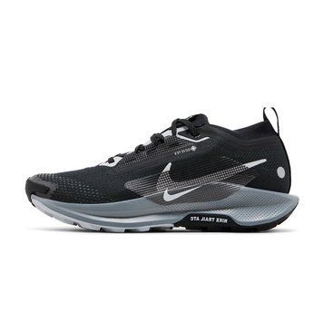 Жіночі кросівки Nike Pegasus Trail 5 GORE-TEX 'Black Wolf Grey'| FQ0912-001 FQ0912-001 фото