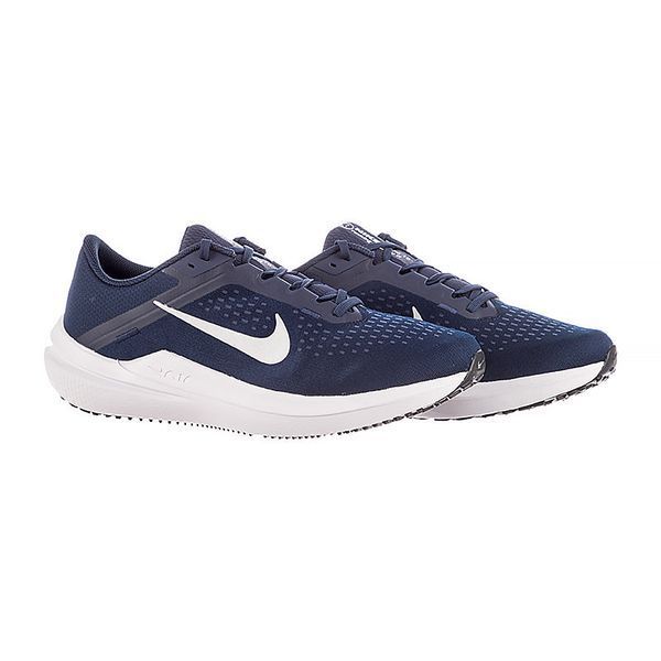 Чоловічі кросівки Nike Winflo 10 'College Navy Metallic Silver'| DV4022-400 DV4022-400 фото