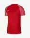 Дитяча футболка Nike Dri-FIT Academy | DH8369-657