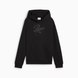 Підлітковий худі Puma ESS SCRIPT Hoodie 128 | 68580601 68580601 фото 4