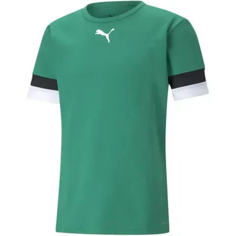 Чоловіча футболка Puma teamRISE Jersey | 704932-05