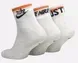 Шкарпетки Nike Sportswear Everyday Essential Ankle Socks | DX5080-050 фото 2