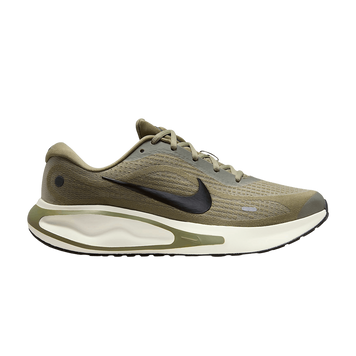 Чоловічі кросівки Nike Journey Run 'Silver Sage'| FN0228-302 FN0228-302 фото