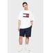 Чоловіча футболка Tommy Jeans Skate Flag White | DM0DM19555 DM0DM19555 фото 3