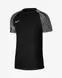 Дитяча футболка Nike Dri-FIT Academy | DH8369-010