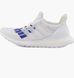 Кросівки adidas Undefeated X Ultraboost 1.0 White | EF1968 EF1968 фото 2