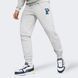 Чоловічі штани Puma | 676019 04