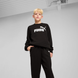 Дитячий світшот Puma ESS Logo Crew Sweat Suit TR 128 | 68629601 68629601 фото 1