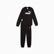 Дитячий світшот Puma ESS Logo Crew Sweat Suit TR 128 | 68629601 68629601 фото 4