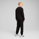 Дитячий світшот Puma ESS Logo Crew Sweat Suit TR 128 | 68629601 68629601 фото 2