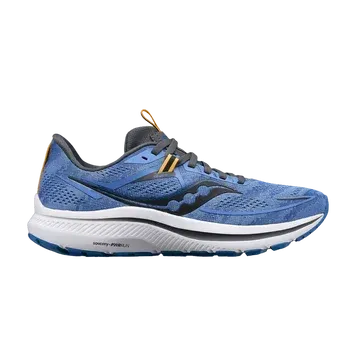 Кросівки Saucony Omni 21 'Horizon Shadow'| S10762-30 фото