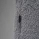 Кофта unisex Nike M J AIR JDN CARDIGAN L | FV7426-070 FV7426-070 фото 5