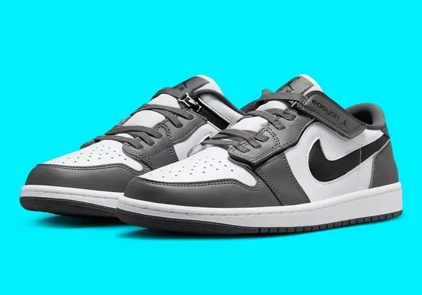 Кросівки Air Jordan 1 Low FlyEase | DM1206-100 DM1206-100 фото
