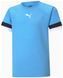 Дитяча футболка Puma teamRISE Jersey Jr 116 | 704938-18 704938-18 фото 1