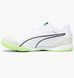 Футзалки Puma Ibero IV White-Speed 1 | 107418-01 107418-01 фото 2