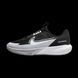 Підліткові кросівки Nike Sonic Fly GS 'Black Wolf Grey'| FZ0017-001 FZ0017-001 фото 1