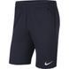 Підліткові шорти Nike Y DF PARK20 SHORT KZ | DB8244-451 DB8244-451 фото