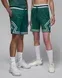 Шорти Jordan Dri-FIT Sport Diamond | DX1487-366 фото 1