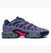 Чоловічі кросівки Nike Air Max Plus Drift 'Ashen Slate'| FD4290-401 FD4290-401 фото 3