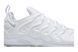 Чоловічі кросівки Nike Air VaporMax Plus 'White Platinum'| 924453-100 924453-100 фото 2