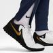Чоловічі штани Nike Paris Saint-Germain | HQ4945-410 HQ4945-410 фото 3