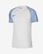 Дитяча футболка Nike Dri-FIT Academy | DH8369-102 DH8369-102 фото