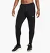 Чоловічі спортивні штани Nike Phenom Elite Pant WR | HF7454-010 фото 1