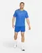 Шорти Nike | CJ5453-480 фото 8