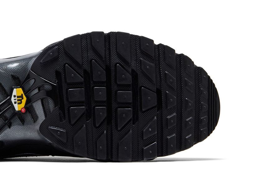 Чоловічі кросівки Nike Air Max Plus OG 'Black Reflective'| HV8066-002 HV8066-002 фото