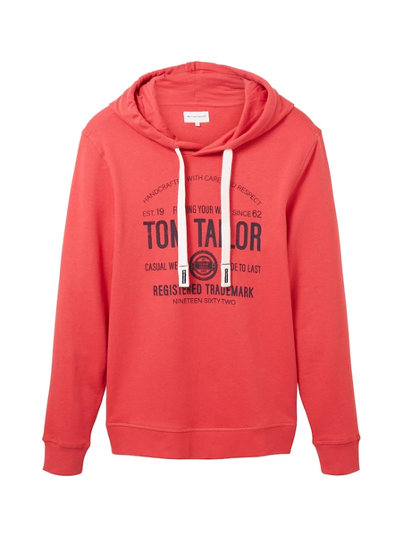Чоловіче худі Tom Tailor L | 1038605-31045 1038605-31045 фото