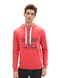 Чоловіче худі Tom Tailor L | 1038605-31045 1038605-31045 фото 1