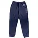 Чоловіча толстовка Gap Logo Fleece Pants Tapestry Navy | 221236051
