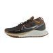 Чоловічі кросівки Nike React Pegasus Trail 4 GORE-TEX 'Anthracite Ale Brown'| FD5841-001 FD5841-001 фото 1