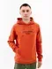 Чоловічий худі HELLY HANSEN Hoodie | 53701-308 фото 1