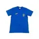 Чоловіча футболка Joma | 101739.700-AFU