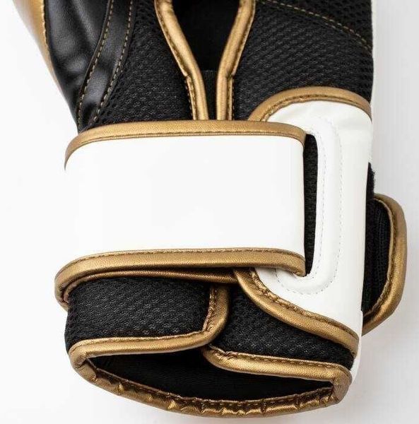 Боксерські рукавиці Everlast Powerlock 2R Training Gloves | P00003049 фото