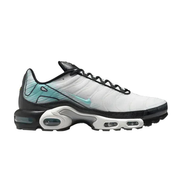 Чоловічі кросівки Nike Air Max Plus 'Mercurial Vapor'| HV6225-100 фото