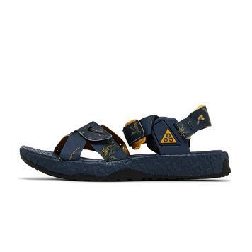 Сандалі Nike ACG Air Deschutz+ SE 'Thunder Blue'| DR1020-400 DR1020-400 фото