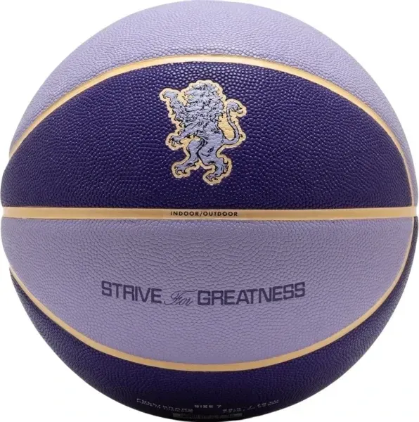 Баскетбольний м'яч Nike All Court 2.0 8P L James Deflated | N.100.4368.509.07 фото